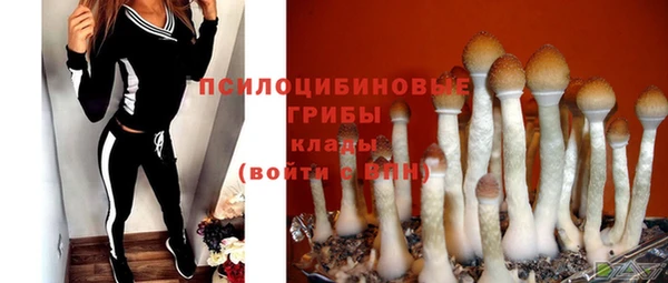 бутират Бугульма