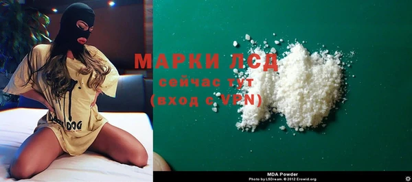 крисы Бородино