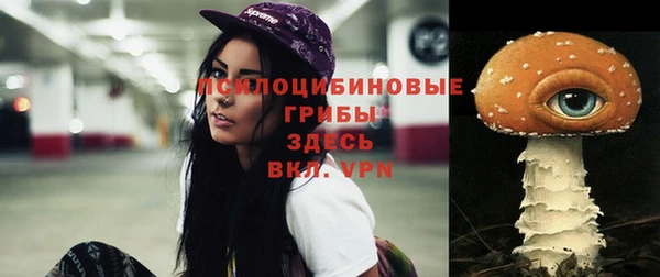 бутират Бугульма
