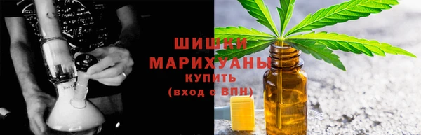 крисы Бородино