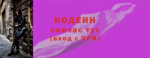 крисы Бородино
