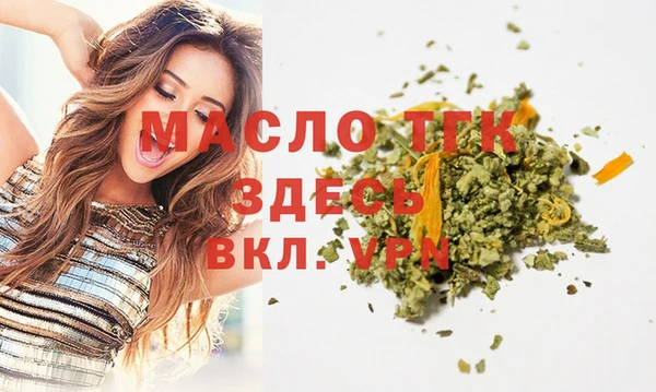 крисы Бородино