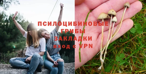 крисы Бородино