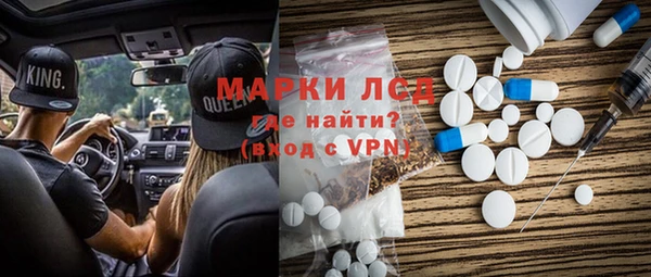 крисы Бородино