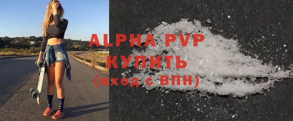 крисы Бородино