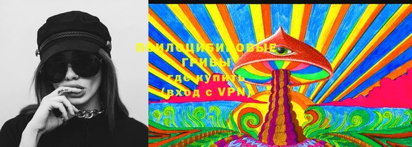 спайс Богородицк