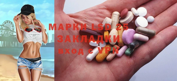 крисы Бородино