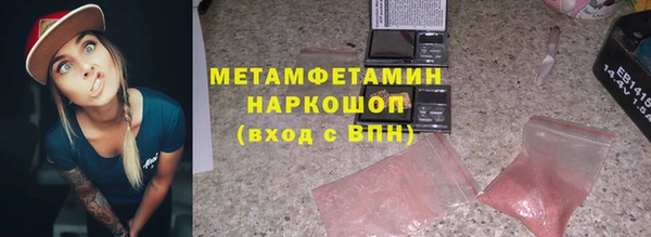 крисы Бородино