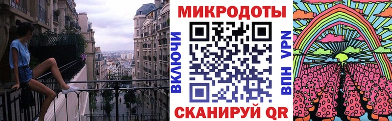 darknet клад  Каменногорск  Псилоцибиновые грибы мицелий  где продают  