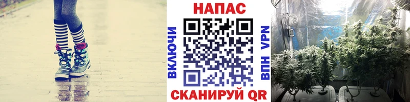 Марихуана AK-47  хочу   Каменногорск 